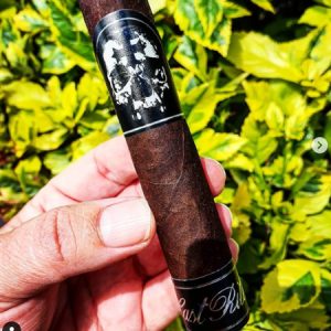 BLTC-INSTA-12