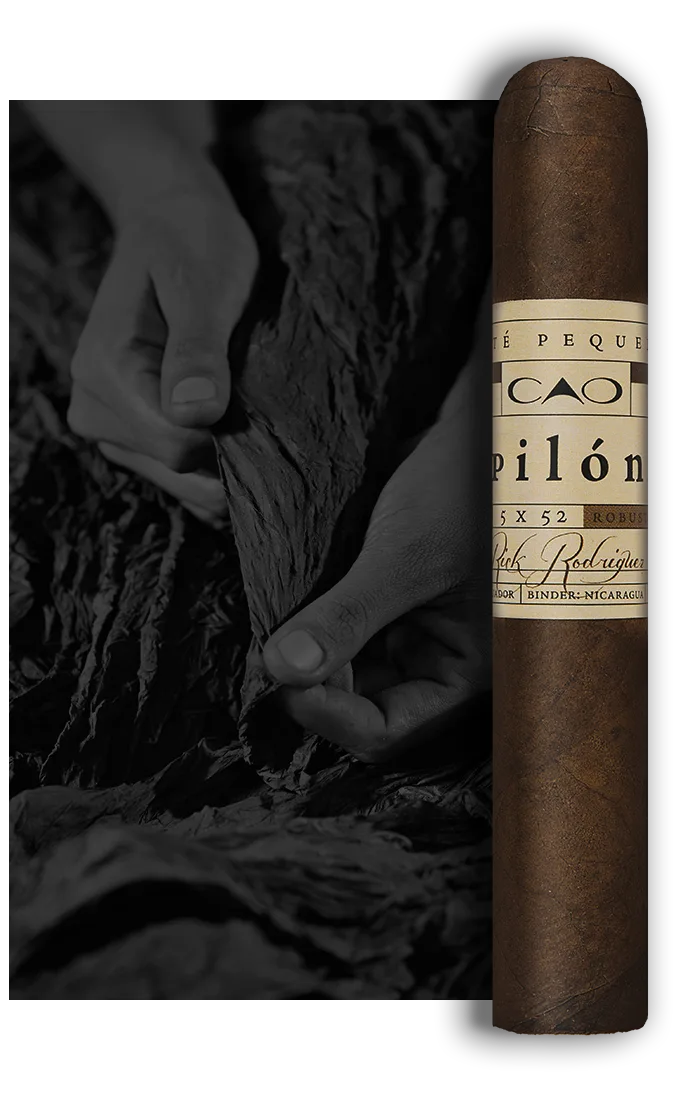 CAO CIGARS - PILON ROBUSTO 5X52 - Image 2