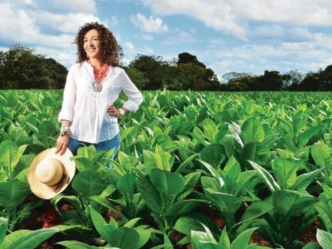 maya-selva-tobacco-field-770x578-770x578
